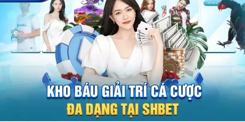 Những siêu phẩm chất lượng được cung cấp tại đơn vị này